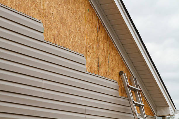 Professional Siding Inspection technician working in Lebanon, TN
